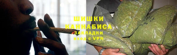 PSILOCYBIN Алексин