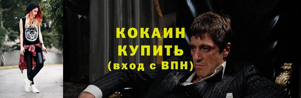 прущий лед Алзамай