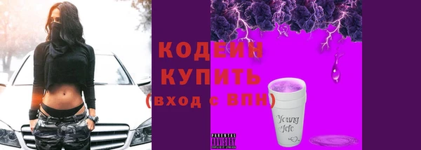 прущий лед Алзамай