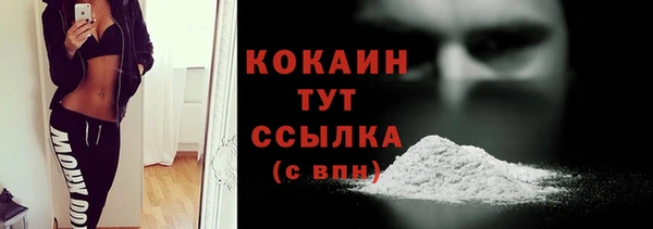 прущий лед Алзамай