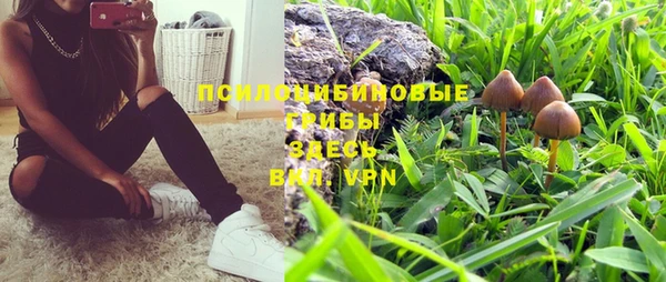 прущий лед Алзамай