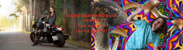 прущий лед Алзамай