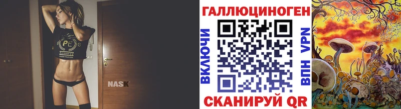 где продают   Пугачёв  Галлюциногенные грибы Magic Shrooms 